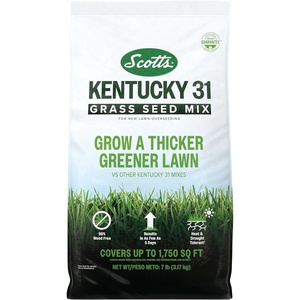 image:imageScotts Kentucky 31 Grass Seed Mix  Premium Lawn Grass Seed Covers Up to 5000 sq ft 20 lb7 lb