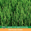 image:imageScotts EZ Seed Patch amp Repair Bermudagrass  Combination Mulch Bermudagrass Seed and Fertilizer for Repairing Bare Spots Lawn Patch Repair Covers Up to 85 Sq Ft 375 lbBermudagrass