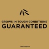 image:imageScotts EZ Seed Patch amp Repair Bermudagrass  Combination Mulch Bermudagrass Seed and Fertilizer for Repairing Bare Spots Lawn Patch Repair Covers Up to 85 Sq Ft 375 lbBermudagrass