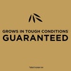 image:imageScotts EZ Seed Patch amp Repair Bermudagrass  Combination Mulch Bermudagrass Seed and Fertilizer for Repairing Bare Spots Lawn Patch Repair Covers Up to 85 Sq Ft 375 lb1 Pack