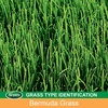 image:imageScotts EZ Seed Patch amp Repair Bermudagrass  Combination Mulch Bermudagrass Seed and Fertilizer for Repairing Bare Spots Lawn Patch Repair Covers Up to 85 Sq Ft 375 lbBermudagrass