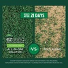 image:imageScotts EZ Seed Patch amp Repair Tall Fescue Lawns  Combination Mulch Grass Seed and Fertilizer for Bare Spots and Repair Covers Up to 85 sq ft 375 lb20 lb