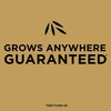 image:imageScotts EZ Seed Patch amp Repair Tall Fescue Lawns  Combination Mulch Grass Seed and Fertilizer for Bare Spots and Repair Covers Up to 85 sq ft 375 lb20 lb