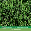 image:imageScotts EZ Seed Patch amp Repair Tall Fescue Lawns  Combination Mulch Grass Seed and Fertilizer for Bare Spots and Repair Covers Up to 85 sq ft 375 lb2 lb