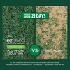 image:imageScotts EZ Seed Patch amp Repair Tall Fescue Lawns  Combination Mulch Grass Seed and Fertilizer for Bare Spots and Repair Covers Up to 85 sq ft 375 lb375 lb