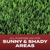 image:imageScotts Turf Builder Grass Seed Landscapers Mix  All Purpose CoolSeason Grass Seed for Northern Lawns Covers up to 2800 sq ft 7 lb7 lb Pack of 4