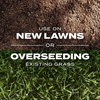 image:imageScotts Turf Builder Rapid Grass Sun and Shade Mix  Combination Grass Seed amp Lawn Fertilizer Covers Up to 2800 sq ft 56 lb16 lb