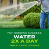 image:imageScotts Turf Builder Rapid Grass Sun and Shade Mix  Combination Grass Seed amp Lawn Fertilizer Covers Up to 2800 sq ft 56 lb16 lb