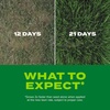 image:imageScotts Turf Builder Rapid Grass Sun and Shade Mix  Combination Grass Seed amp Lawn Fertilizer Covers Up to 2800 sq ft 56 lb24 lb