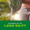 image:imageScotts Turf Builder Rapid Grass Sun and Shade Mix  Combination Grass Seed amp Lawn Fertilizer Covers Up to 2800 sq ft 56 lb24 lb