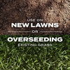 image:imageScotts Turf Builder Rapid Grass Sun and Shade Mix  Combination Grass Seed amp Lawn Fertilizer Covers Up to 2800 sq ft 56 lb24 lb