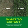 image:imageScotts Turf Builder Rapid Grass Sun and Shade Mix  Combination Grass Seed amp Lawn Fertilizer Covers Up to 2800 sq ft 56 lb56 lb