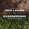 image:imageScotts Turf Builder Rapid Grass Sun and Shade Mix  Combination Grass Seed amp Lawn Fertilizer Covers Up to 2800 sq ft 56 lb56 lb Pack of 4