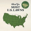 image:imageOM Scott and Sons Buffalograss Seed Naturally Drought Tolerant Native Grass Seeds for Lawns Covers up to 350 sq ft 07 lbClover