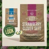 image:imageOM Scott and Sons Buffalograss Seed Naturally Drought Tolerant Native Grass Seeds for Lawns Covers up to 350 sq ft 07 lbClover