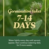 image:imageOM Scott and Sons Buffalograss Seed Naturally Drought Tolerant Native Grass Seeds for Lawns Covers up to 350 sq ft 07 lbClover