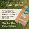image:imageOM Scott and Sons Buffalograss Seed Naturally Drought Tolerant Native Grass Seeds for Lawns Covers up to 350 sq ft 07 lbFertilizer