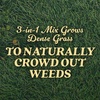 image:imageOM Scott and Sons Buffalograss Seed Naturally Drought Tolerant Native Grass Seeds for Lawns Covers up to 350 sq ft 07 lbTall Fescue