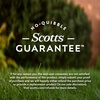 image:imageOM Scott and Sons Buffalograss Seed Naturally Drought Tolerant Native Grass Seeds for Lawns Covers up to 350 sq ft 07 lbTall Fescue