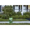 image:imageScotts Green Max Lawn Food 5000 sq ft10 000 sq ft 2Pack