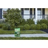 image:imageScotts Green Max Lawn Food 5000 sq ft10 000 sq ft