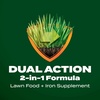 image:imageScotts Green Max Lawn Food 5000 sq ft2 000 sq ft