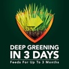 image:imageScotts Green Max Lawn Food 5000 sq ft5 000 sq ft