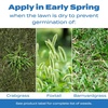 image:imageScotts Halts Crabgrass amp Grassy Weed Preventer  Crabgrass Preventer Pre Emergent Weed Control for Lawns Prevents Chickweed amp More Treats up to 5000 sq ft 1006 lb5 000 sq ft