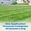 image:imageScotts Halts Crabgrass amp Grassy Weed Preventer  Crabgrass Preventer Pre Emergent Weed Control for Lawns Prevents Chickweed amp More Treats up to 5000 sq ft 1006 lb5 000 sq ft