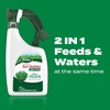 image:imageScotts Liquid Turf Builder Lawn Food 2000 sq ft1Pack