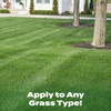 image:imageScotts Liquid Turf Builder Lawn Food 2000 sq ft2Pack