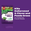 image:imageScotts Turf Builder Bonus S Southern Weed amp Feed2 10000 sq ft10 000 sq ft