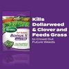 image:imageScotts Turf Builder Bonus S Southern Weed amp Feed2 10000 sq ft10 000 sq ft