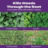 image:imageScotts Turf Builder Bonus S Southern Weed amp Feed2 10000 sq ft10 000 sq ft