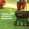 image:imageScotts Turf Builder Bonus S Southern Weed amp Feed2 10000 sq ft10 000 sq ft