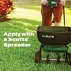 image:imageScotts Turf Builder Bonus S Southern Weed amp Feed2 10000 sq ft4 000 sq ft