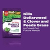 image:imageScotts Turf Builder Bonus S Southern Weed amp Feed2 10000 sq ft5 000 sq ft