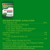 image:imageScotts Turf Builder Lawn Food  Fertilizer for Grass for All Grass Types 5000 sq ft 125 lb5 000 sq ft