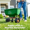 image:imageScotts Turf Builder Lawn Food  Fertilizer for Grass for All Grass Types 5000 sq ft 125 lb5 000 sq ft