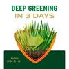 image:imageScotts Turf Builder Liquid Lawn Food Plus Weed Control  Weed and Feed Spray Controls Dandelions Clover and Others as Listed 32 fl ozLiquid Fertilizer