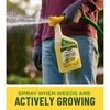 image:imageScotts Turf Builder Liquid Lawn Food Plus Weed Control  Weed and Feed Spray Controls Dandelions Clover and Others as Listed 32 fl ozLiquid Fertilizer