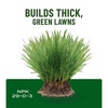 image:imageScotts Turf Builder Liquid Lawn Food Plus Weed Control  Weed and Feed Spray Controls Dandelions Clover and Others as Listed 32 fl ozLiquid Fertilizer