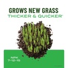image:imageScotts Turf Builder Liquid Lawn Food Plus Weed Control  Weed and Feed Spray Controls Dandelions Clover and Others as Listed 32 fl ozLiquid Fertilizer