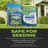 image:imageScotts Turf Builder Triple Action Built for Seeding  Weed Preventer and Fertilizer for New Lawns Lawn Food 4000 sq ft 172 lb1 000 sq ft