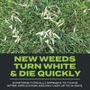 image:imageScotts Turf Builder Triple Action Built for Seeding  Weed Preventer and Fertilizer for New Lawns Lawn Food 4000 sq ft 172 lb1 000 sq ft