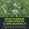 image:imageScotts Turf Builder Triple Action Built for Seeding  Weed Preventer and Fertilizer for New Lawns Lawn Food 4000 sq ft 172 lb4 000 sq ft