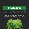 image:imageScotts Turf Builder Triple Action Built for Seeding  Weed Preventer and Fertilizer for New Lawns Lawn Food 4000 sq ft 172 lb4 000 sq ft