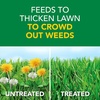 image:imageScotts Turf Builder Weed and Feed5  Weed Killer Plus Lawn Fertilizer Lawn Weed Killer Controls Dandelion and Clover Grass Fertilizer for Up to 4000 sq ft 1132 lb5 000 sq ft