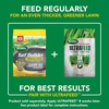 image:imageScotts Turf Builder Weed and Feed5  Weed Killer Plus Lawn Fertilizer Lawn Weed Killer Controls Dandelion and Clover Grass Fertilizer for Up to 4000 sq ft 1132 lb15 000 sq ft