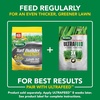 image:imageScotts Turf Builder Weed and Feed5  Weed Killer Plus Lawn Fertilizer Lawn Weed Killer Controls Dandelion and Clover Grass Fertilizer for Up to 4000 sq ft 1132 lb4 000 sq ft